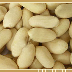 Gujarathi Peanut Plain